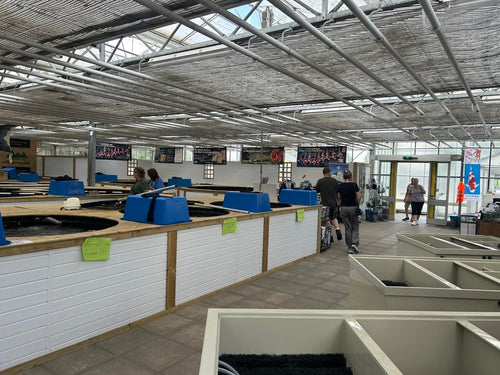 KOI Center Venlo, 4