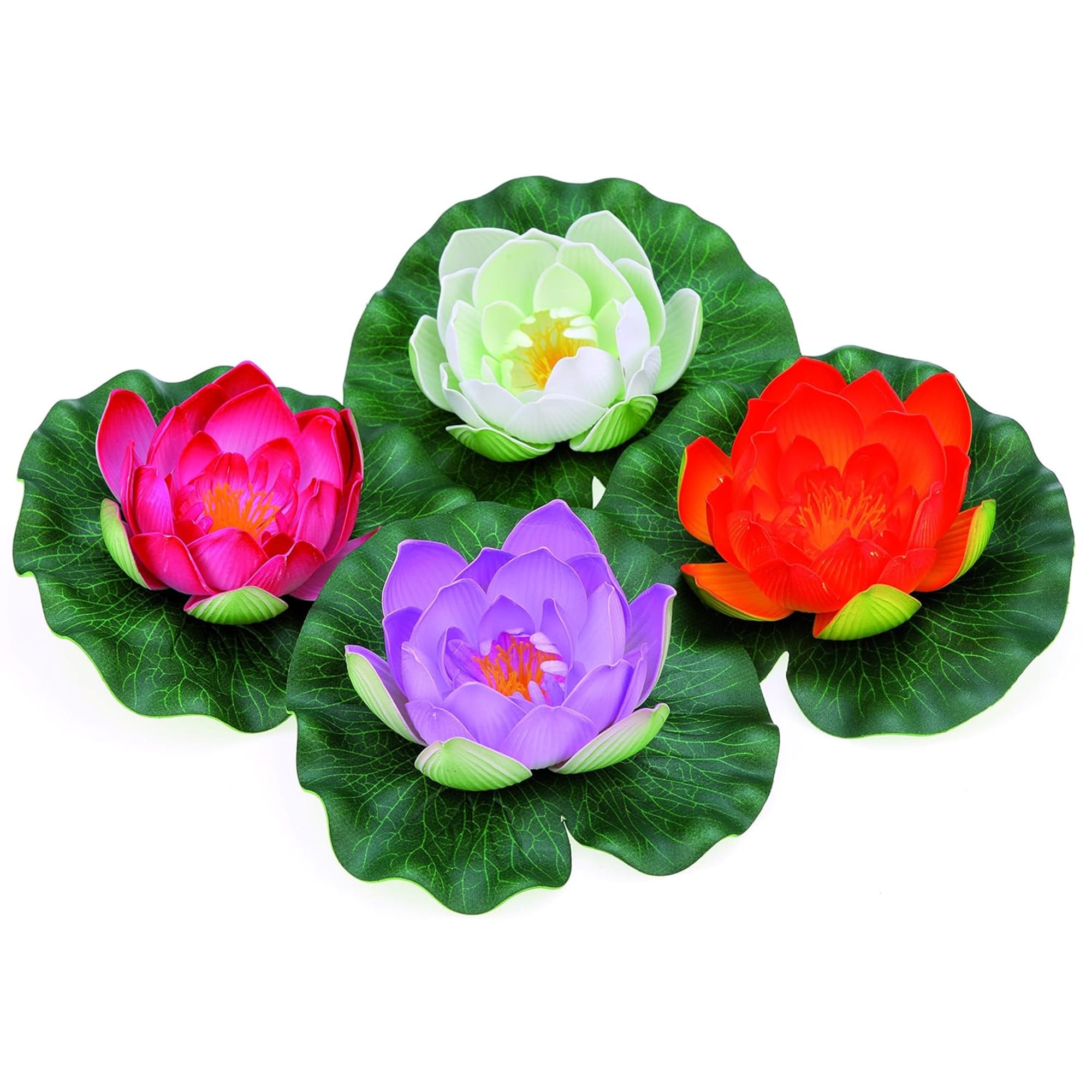 Pontec PondoLily display volgens kleur - productfoto