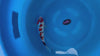 Ginrin Showa koi (KOI-7261424) - KOI Center Venlo - video