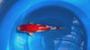 Yagoro - Nisai - Kohaku - KOI-7261431 video