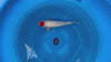 Ginrin Tancho koi (KOI-7261296) - KOI Center Venlo - video