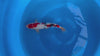 Doitsu Sanke koi (KOI-7261118) - KOI Center Venlo - video