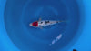 Doitsu Sanke koi (KOI-7261337) - KOI Center Venlo - video