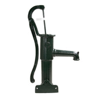 Handpomp NP75 wandflens gietijzer - 28 ltr/min, cilinder 75 mm - RC100 A fd6d, miniatuur 2