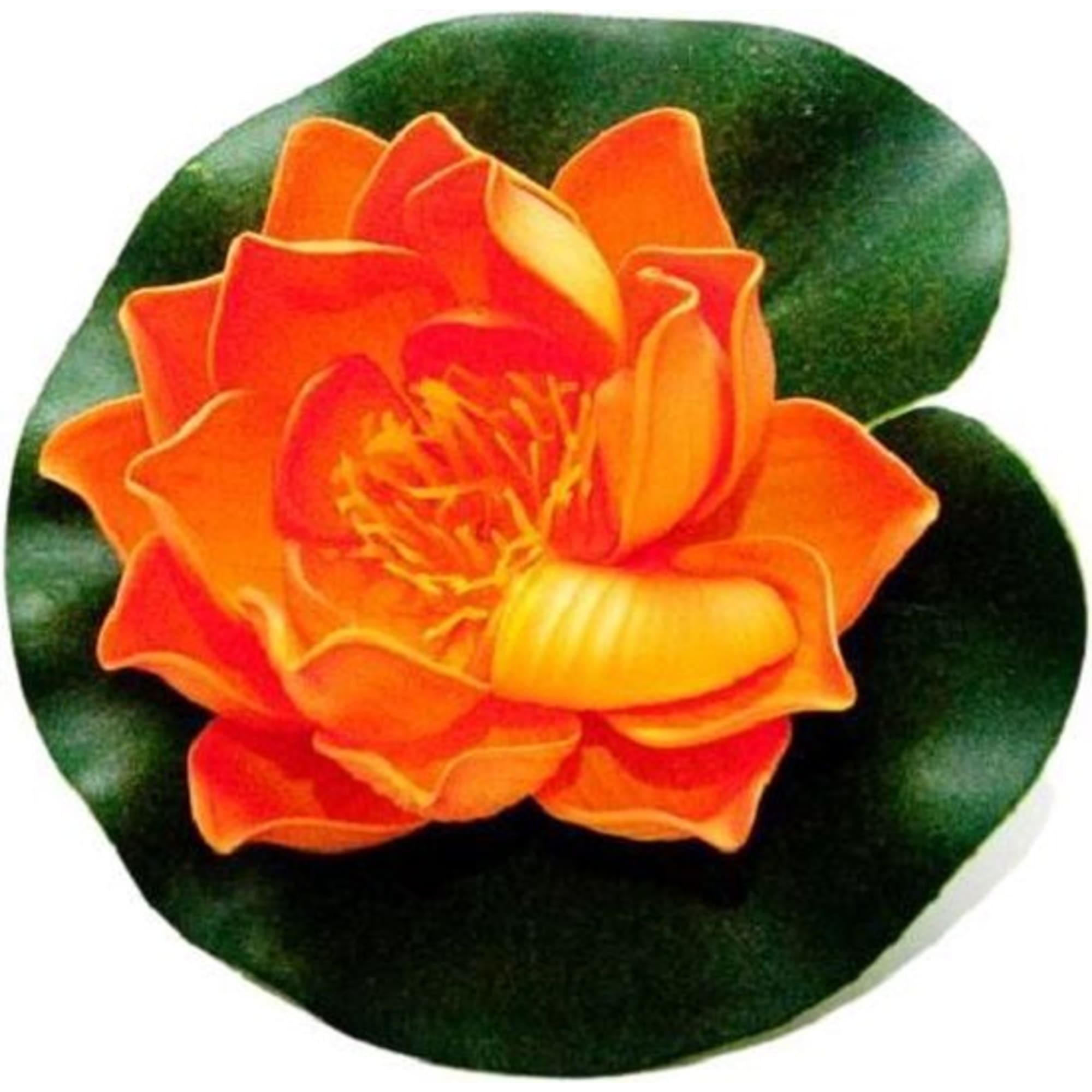 Velda Lotus foam orange 10cm - productfoto
