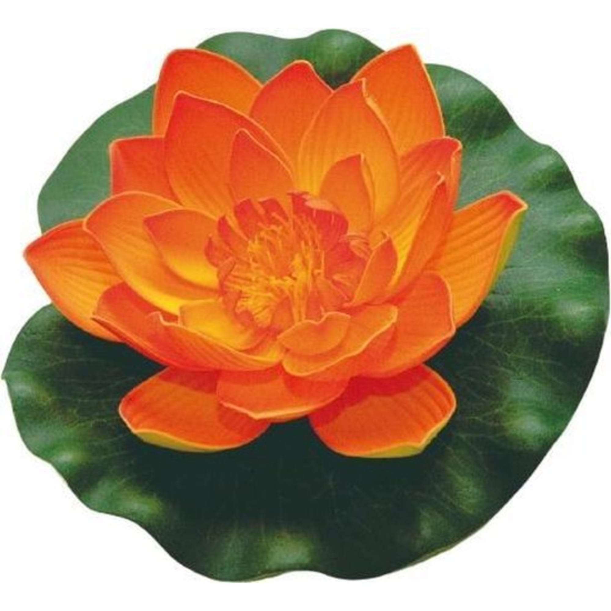 Velda Lotus foam orange 17cm - productfoto
