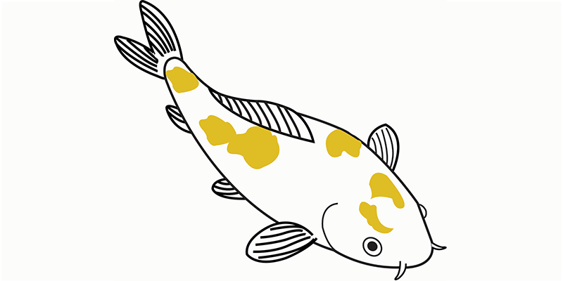 Hariwake koi illustratie