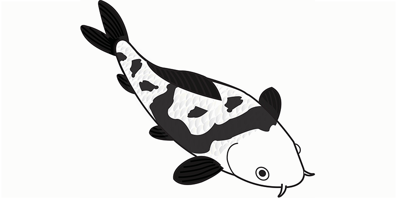 Utsuri koi illustratie